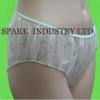 OEM Adult Disposable Incontinence Pants With Soft Lace Side, Non-woven Fabric