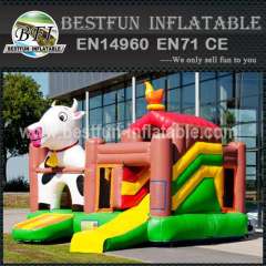 Space inflatable bouncy slide