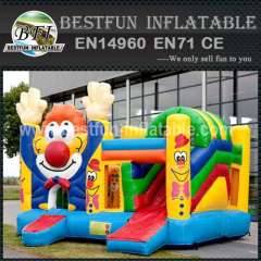 Wonderful inflatable bouncy slide