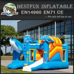 Quality giant inflatable bouncy slide