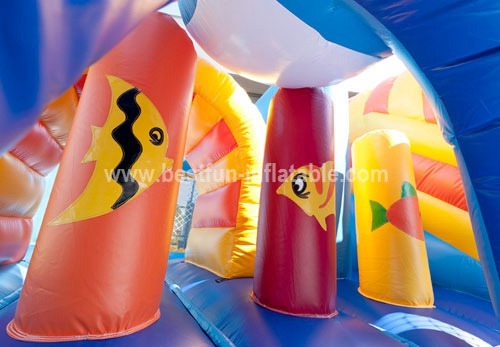 Multiplay Whale Inflatable Combo