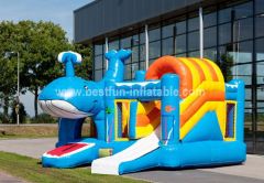 Multiplay Whale Inflatable Combo