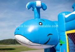 Multiplay Whale Inflatable Combo