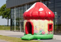 Inflatable Bouncy castle Mushroom