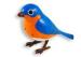 Indoor Colorful Singing interactive bird toy in Solo Mode for kids with FCC / SGS