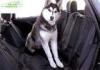 economic comfortable Pet Car Accessories pet booster seat for car