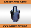 Truck Parts Check Valve 10200