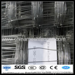 hot dipped galvanzied top and bottom wire 2.5mm field fence with low price
