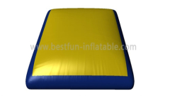 Summer Action Sport Giant Pillow