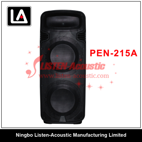 Professional Plastic Dual 15" Active Stage Audio Speaker