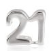 European Sterling Silver Birthday Milestones Number 21 Charm Beads Best Price