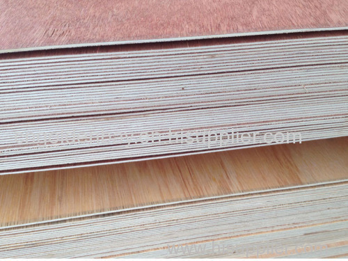 commercial plywood trading company/supplier