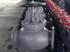 JIS marine cast iron globe valve/ check valve/sdnr valve