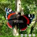 Insect Themed Park Giant Animatronic Butterfly Model for Sale