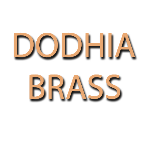 Mr. Ashish Dodhia