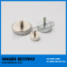 Mounting Magnets wall Neodymium magnet mount in disc