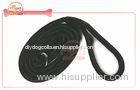 Adjustable Cord Nylon Rope Pet Leash P Choke Slip Leash For Training And Walking