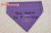 Embroidered Any Letter Training Dog Bandana In Over Collar Style With Hardware