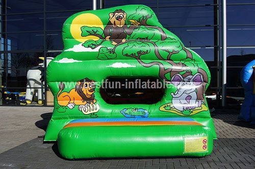 Castle inflatable balls game