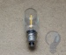 LED filament bubble Edison bulbs