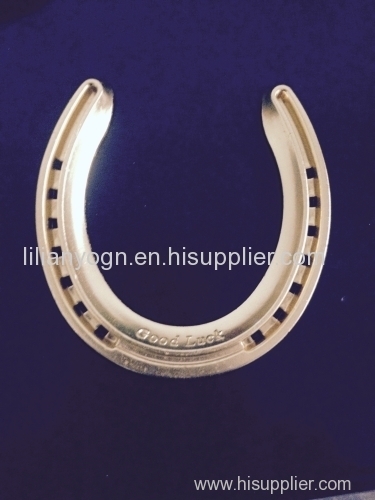 lucky horseshoe horseshoe gift