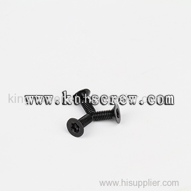 security screw for CSK torx with pin security screw