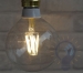 Edison Filament bulb Warm White