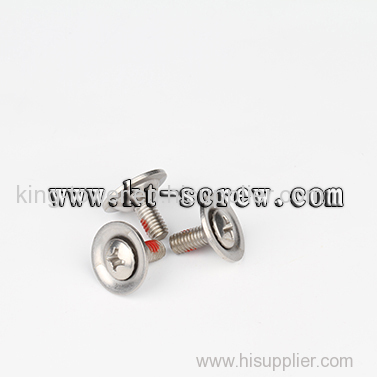 Stainless Steel special machine screw, used for ski boot