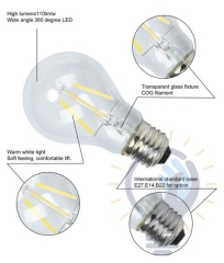 2W 4W 6W 8W LED Chips LED Bulb Light Lamps Glass Globe Lamp Edison Filament bulb Warm White