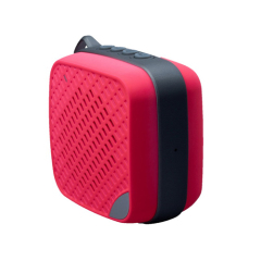 FM Wireless Bluetooth Speaker with Line-in Function