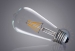 WARM WHITE LED FILAMENT BULB