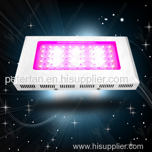 100*3 w led grow light