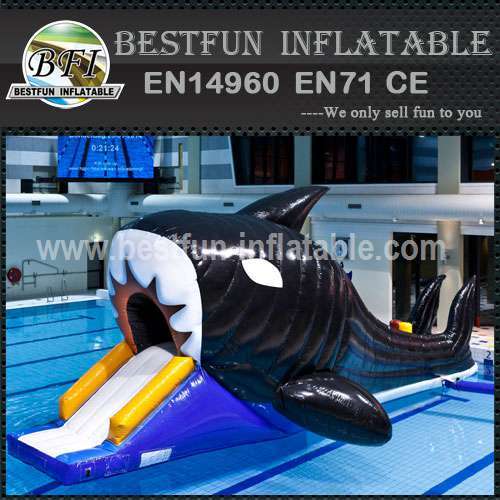 Adult inflatable lake water park games