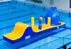 Adult inflatable water park