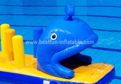 Adult inflatable water park