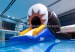 Adult inflatable lake water park games