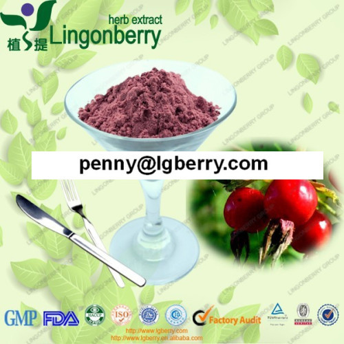 Rose Hip Extract (5%-50% saponins)