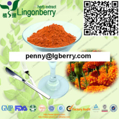 Marigold Extract ( lutein 5% 10% 20% 80%)