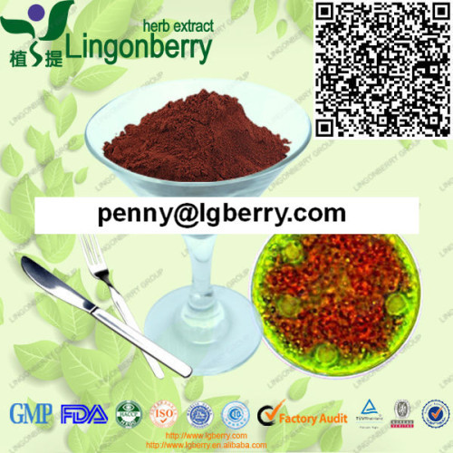 Astaxanthin Haematococcus pluvialis / Astaxanthin Oil