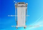Non Surgical Liposuction Cryolipolysis Slimming Machine Equipment With CE