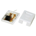 Cat. 6 RJ45 UTP Surface Box