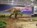 High-quality Simulation Animatronic Dinosaur in The Outdoor Theme Park (CET-L-01)