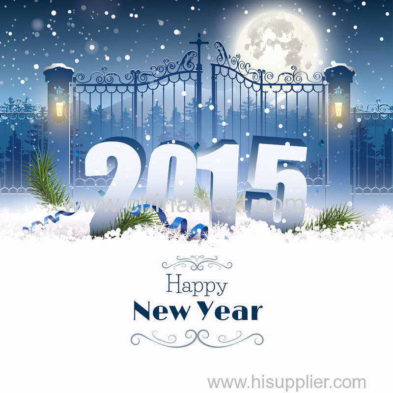 Happy New Year