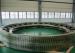 pipe flange rolled flange