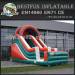 Tropical theme inflatable slides