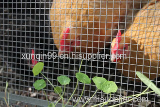 Hardware Cloth - Smallest Mesh Protects Poultry
