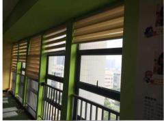 28MM/38MM 2015 classical hot sale zebra blinds made in China blind factory