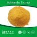 Schizandra Chinensis extract with the lignins 2015