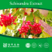 Schizandra in fruit extract 19%