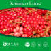 2015 Factory supply High quality schisandra berry extract powder